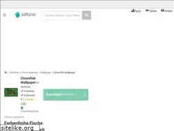 Sites similar to clownfish-wallpaper.softonic.de