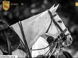 Sites similar to clubdepolo.cl