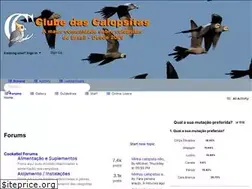 Sites similar to clubedascalopsitas.com.br