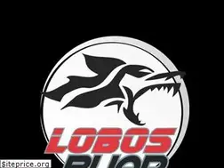 Sites similar to clublobosbuap.com