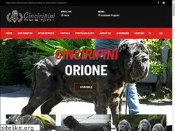Sites similar to cmastini.com