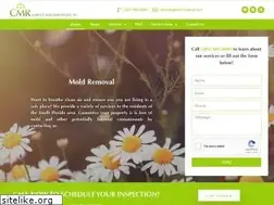 Sites similar to cmrmoldremoval.com
