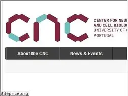 Sites similar to cnbc.pt