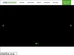 Sites similar to cngasansor.com