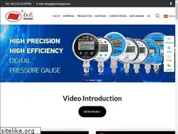 Sites similar to cnhongqi.net