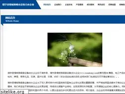 Sites similar to cnsankang.com