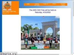 Sites similar to cnyfeis.com