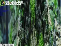Sites similar to co2-anlage-aquarium.de
