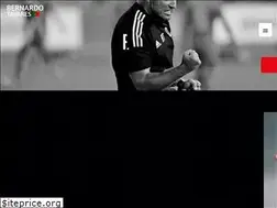 Sites similar to coachbernardotavares.com