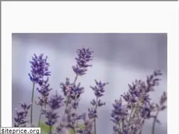 Sites similar to coachmenew.com