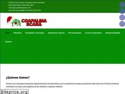 Sites similar to coapalmaecara.com