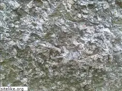 Sites similar to coastalcremationservices.com