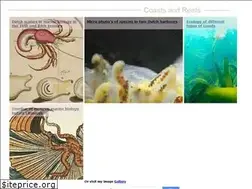 Sites similar to coastsandreefs.net