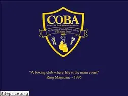 Sites similar to cobaboxing.net
