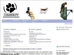 Sites similar to cobaki.ru