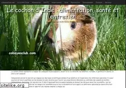 Sites similar to cobayesclub.com