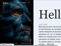 Sites similar to cobra-le-cynique.fr