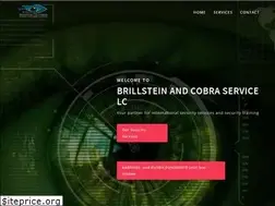 Sites similar to cobra-systems.com