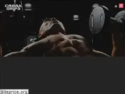 Sites similar to cobragrips.com