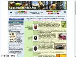 Sites similar to coccinellidae.cl