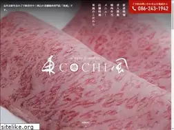 Sites similar to cochi2.com