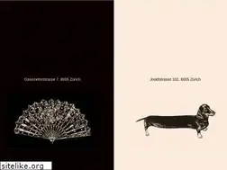 Sites similar to cochinchin.ch