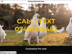 Sites similar to cockatoo.company.com
