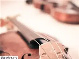 Sites similar to cockrillorchestra.com