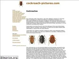 Sites similar to cockroach-pictures.com