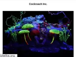 Sites similar to cockroach.se