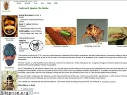 Sites similar to cockroach.speciesfile.org