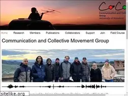 Sites similar to cocomo.group