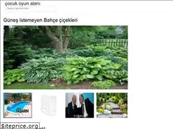 Sites similar to cocuk-oyun-alani.onrender.com