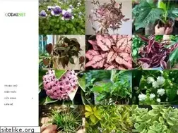 Sites similar to codai.net