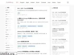 Sites similar to codebug.vip