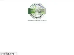 Sites similar to codeeagles.com