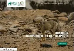 Sites similar to codeff.cl