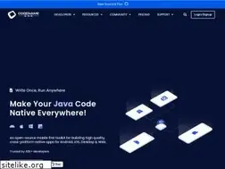 Sites similar to codenameone.com