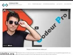 Sites similar to codeur-pro.fr