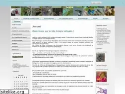 Sites similar to codexvirtualis.fr