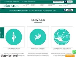 Sites similar to codsils.com
