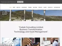 Sites similar to codubconsulting.com