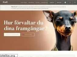 Sites similar to coeli.se