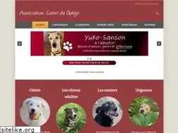 Sites similar to coeur-de-galgo.ch