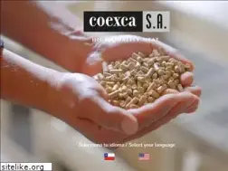 Sites similar to coexca.cl