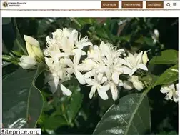 Sites similar to coffeeinstitute.org