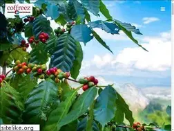 Sites similar to coffreez.de