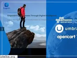 Sites similar to cognitidigital.com