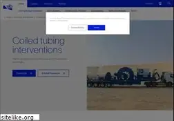 Sites similar to coiltubingservices.com