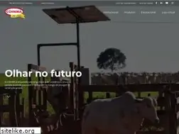 Sites similar to coimma.com.br